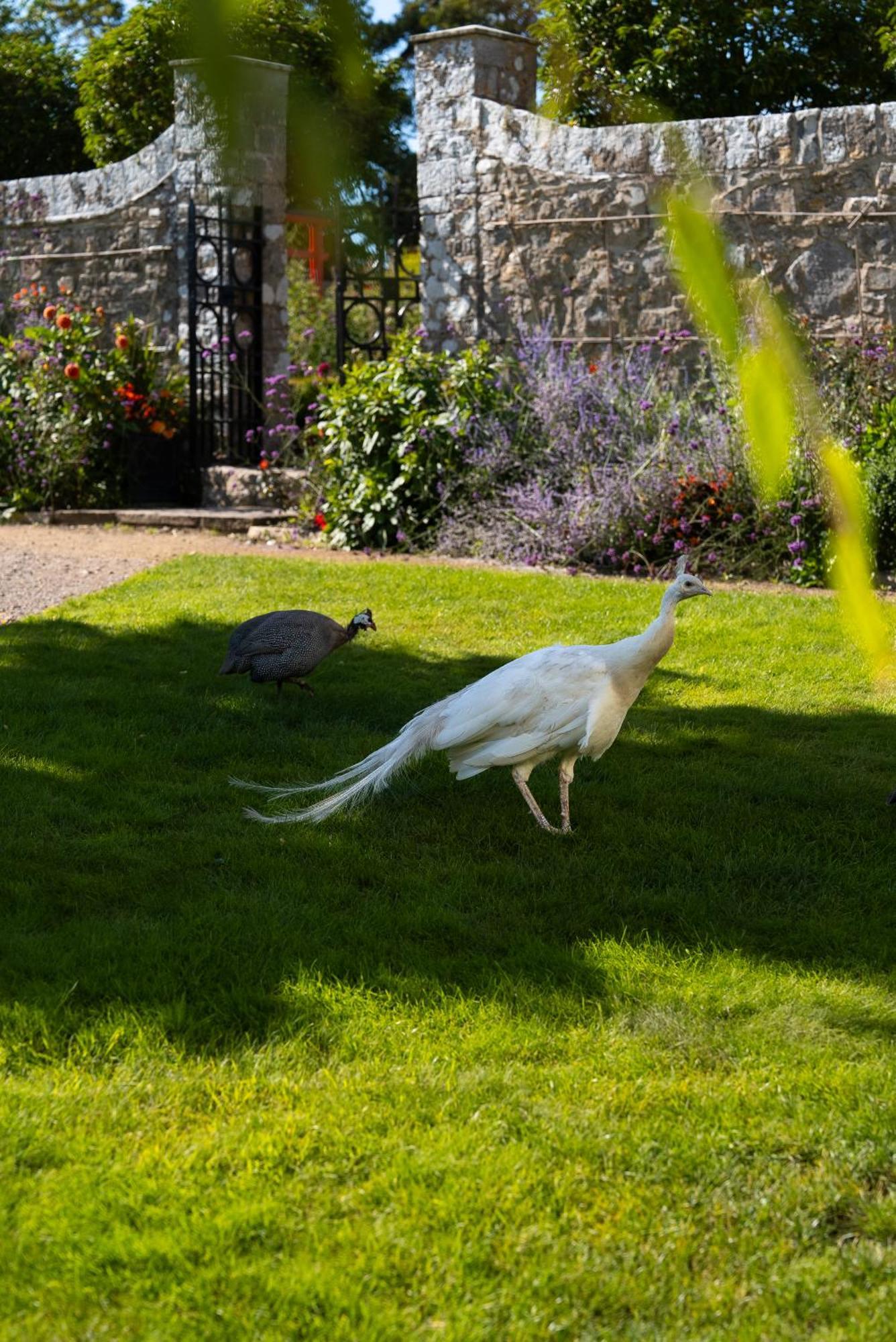 Gileston Manor Luxury B&B Barry Dış mekan fotoğraf
